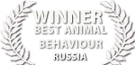 liquid motion film awards russia